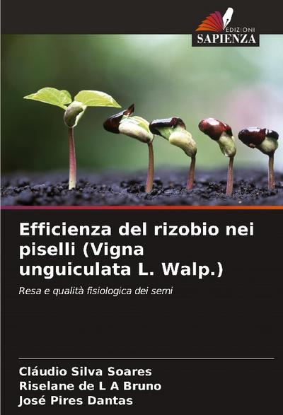 Efficienza del rizobio nei piselli (Vigna unguiculata L. Walp.)