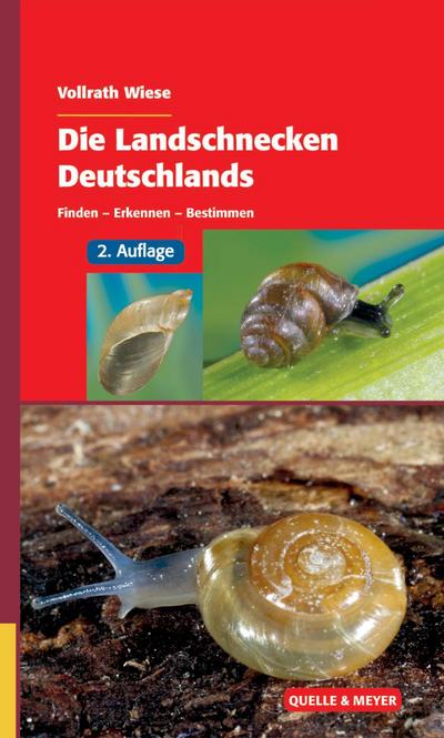 Die Landschnecken Deutschlands