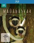 MADAGASKAR - SPECIAL INTEREST