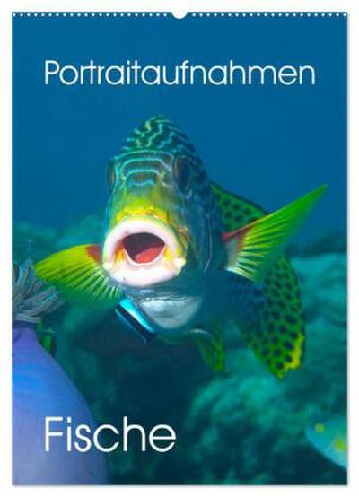 Portraitaufnahmen - Fische (Wandkalender 2026 DIN A2 hoch), CALVENDO Monatskalender