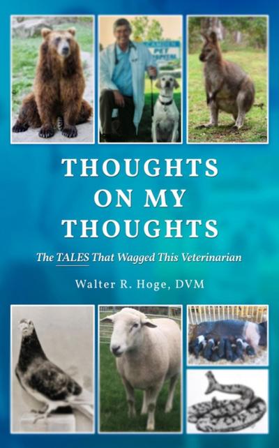 Thoughts On My Thoughts