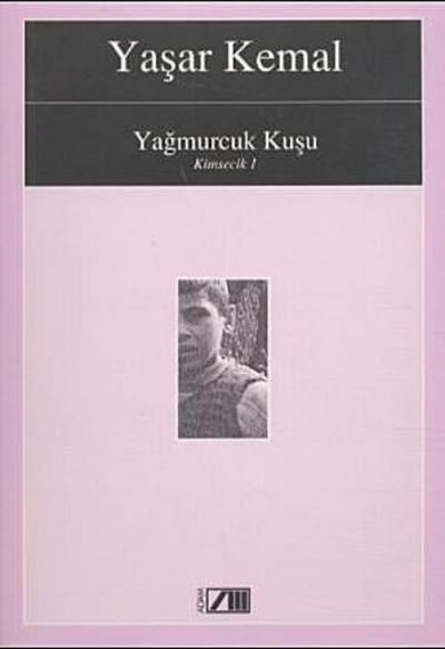 Yagmurcuk Kusu