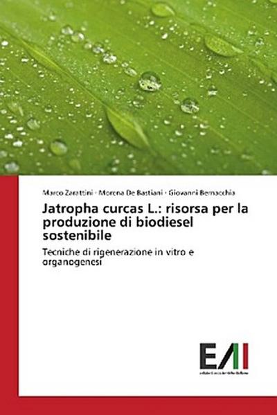 Jatropha curcas L.: risorsa per la produzione di biodiesel sostenibile