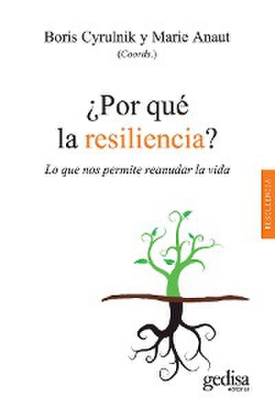 ¿Por qué la resiliencia?