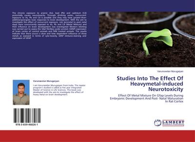 Studies Into The Effect Of Heavymetal-induced Neurotoxicity