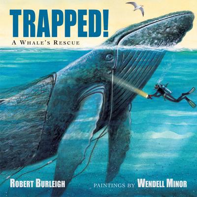Trapped! a Whale’s Rescue
