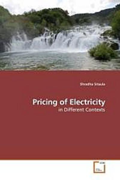 Pricing of Electricity