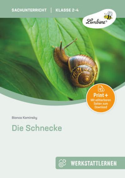 Die Schnecke