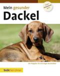 Mein gesunder Dackel