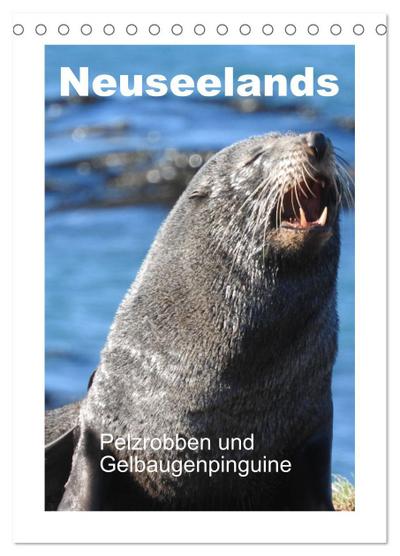 Neuseelands Pelzrobben und Gelbaugenpinguine (Tischkalender 2025 DIN A5 hoch), CALVENDO Monatskalender