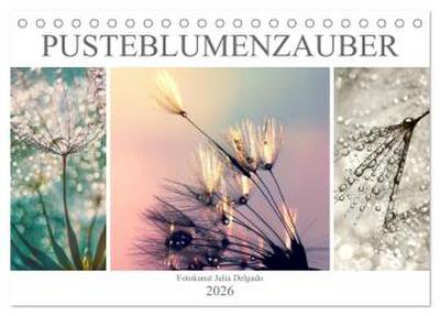 PusteblumenZauber (Tischkalender 2026 DIN A5 quer), CALVENDO Monatskalender