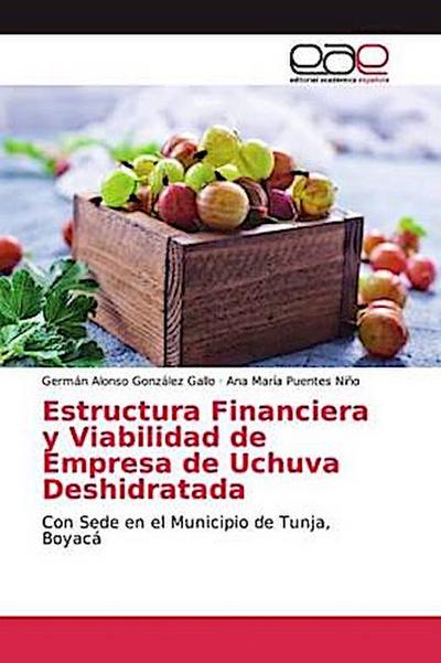 Estructura Financiera y Viabilidad de Empresa de Uchuva Deshidratada