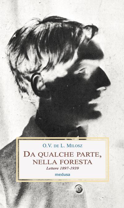 Da qualche parte, nella foresta. Lettere 1897-1939