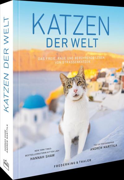 Katzen der Welt