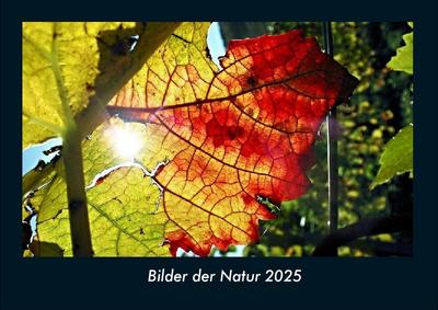 Bilder der Natur 2025 Fotokalender DIN A4