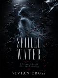 Spilled Water: A Second-Chance Revenge Romance