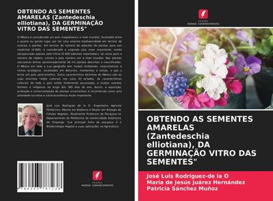 OBTENDO AS SEMENTES AMARELAS (Zantedeschia elliotiana), DA GERMINAÇÃO VITRO DAS SEMENTES"