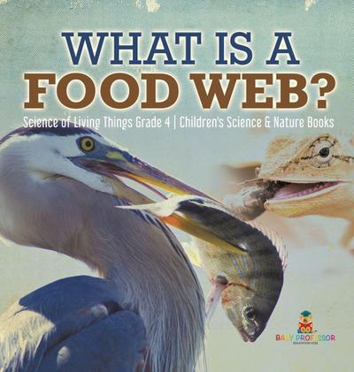 What is a Food Web? | Science of Living Things Grade 4 | Children’s Science & Nature Books