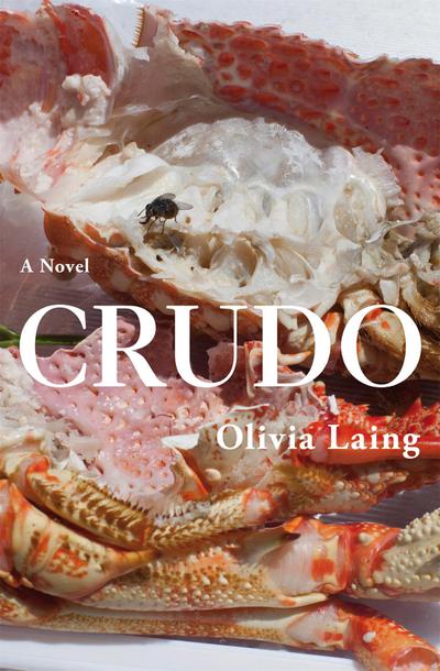Laing, O: Crudo
