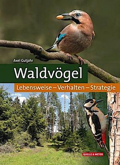 Waldvögel