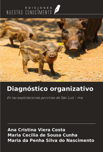 Diagnóstico organizativo