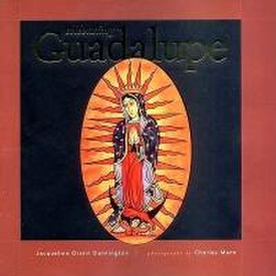 Celebrating Guadalupe