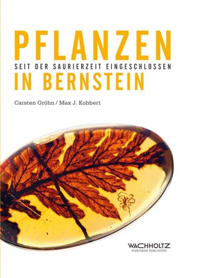 Pflanzen im Bernstein