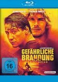Gefährliche Brandung - Point Break