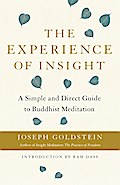 The Experience of Insight