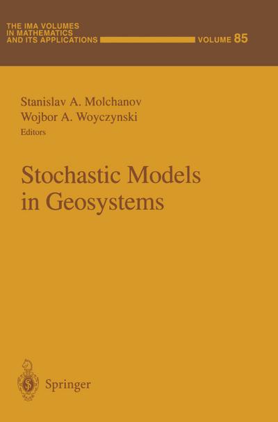 Stochastic Models in Geosystems