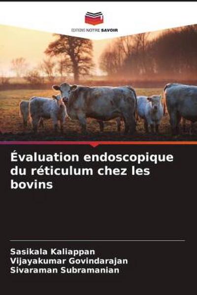 Évaluation endoscopique du réticulum chez les bovins