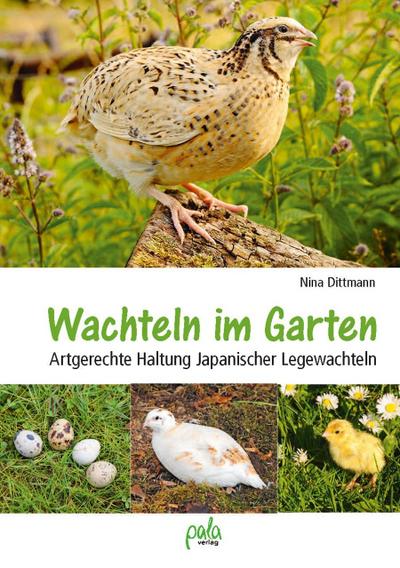 Wachteln im Garten