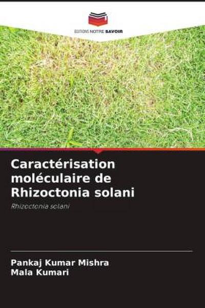 Caractérisation moléculaire de Rhizoctonia solani