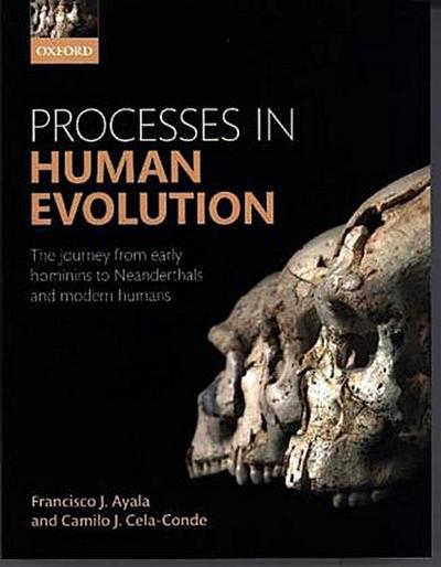 Processes in Human Evolution