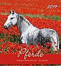 Pferde 2017 - Horses - Postkartenkalender (15 x 16)