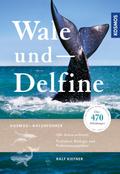 Wale und Delfine