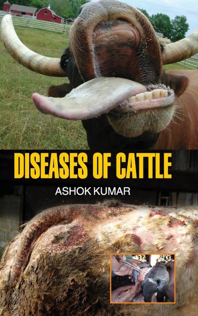 DISEASES OF CATTLE