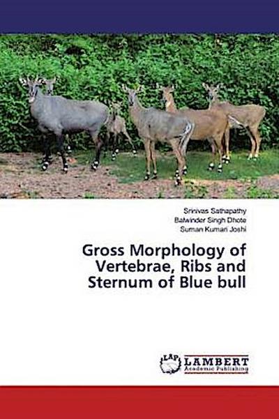 Gross Morphology of Vertebrae, Ribs and Sternum of Blue bull