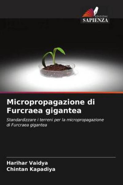 Micropropagazione di Furcraea gigantea