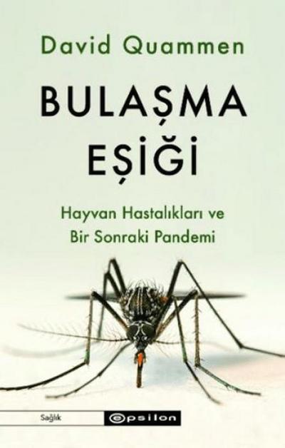 Bulasma Esigi