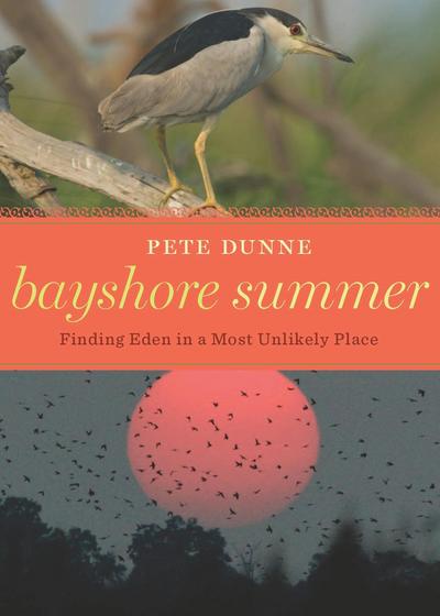 Bayshore Summer