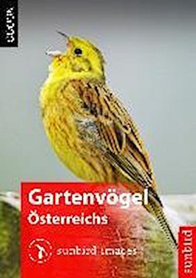 Gartenvögel Österreichs - Vögel Erkennen, Bestimmen und Schützen