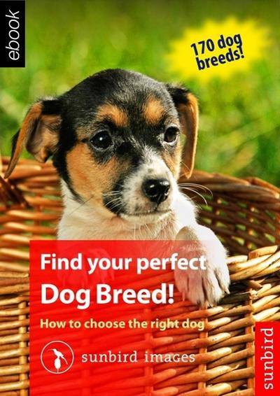 Find your perfect Dog Breed!