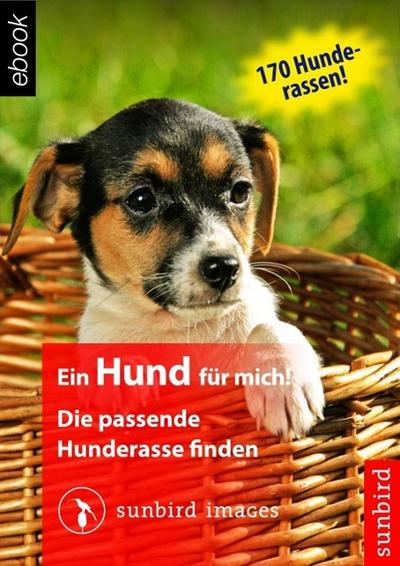 Ein Hund für mich! Die passende Hunderasse finden