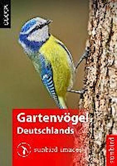Gartenvögel Deutschlands - Vögel Erkennen, Bestimmen und Schützen