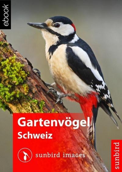 Gartenvögel der Schweiz - Vögel Erkennen, Bestimmen und Schützen