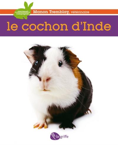 Le cochon d’’Inde