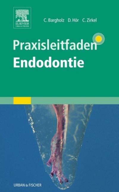 Praxisleitfaden Endodontie