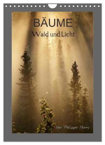 BÄUME (Wandkalender 2026 DIN A4 hoch), CALVENDO Monatskalender