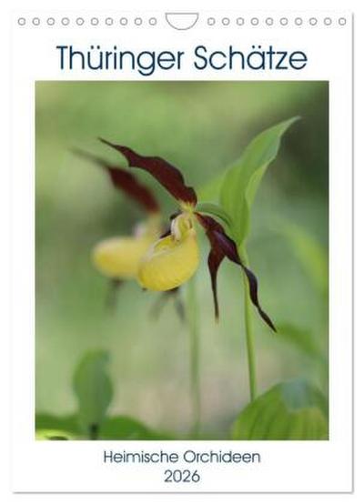 Thüringer Schätze (Wandkalender 2026 DIN A4 hoch), CALVENDO Monatskalender